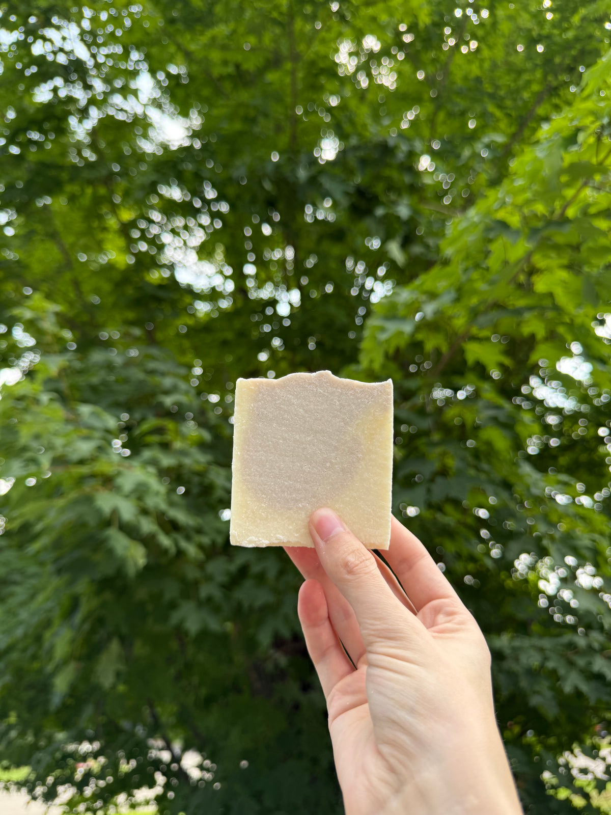 Lavender Sea Salt Soap