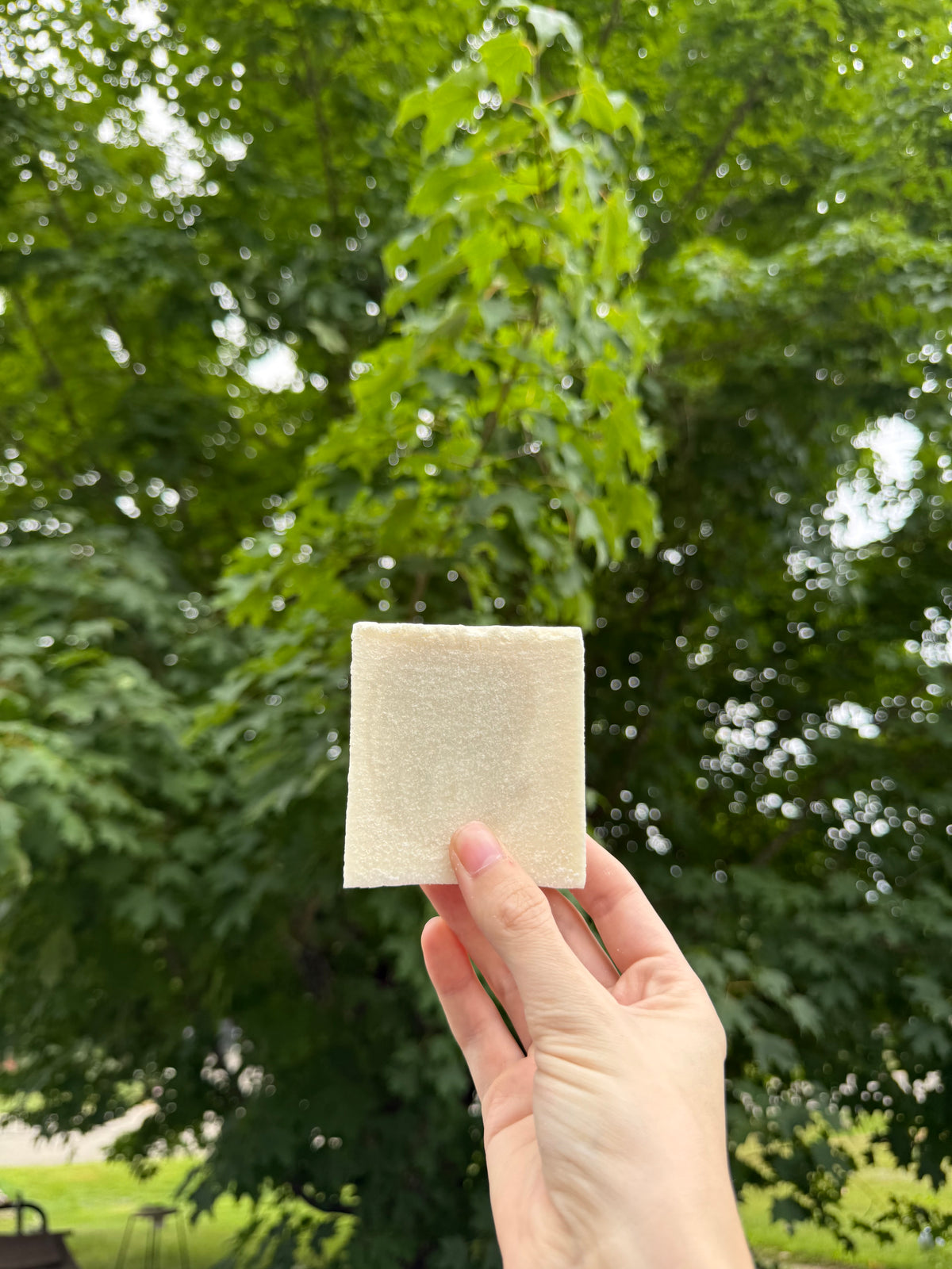 Eucalyptus Sea Salt Soap