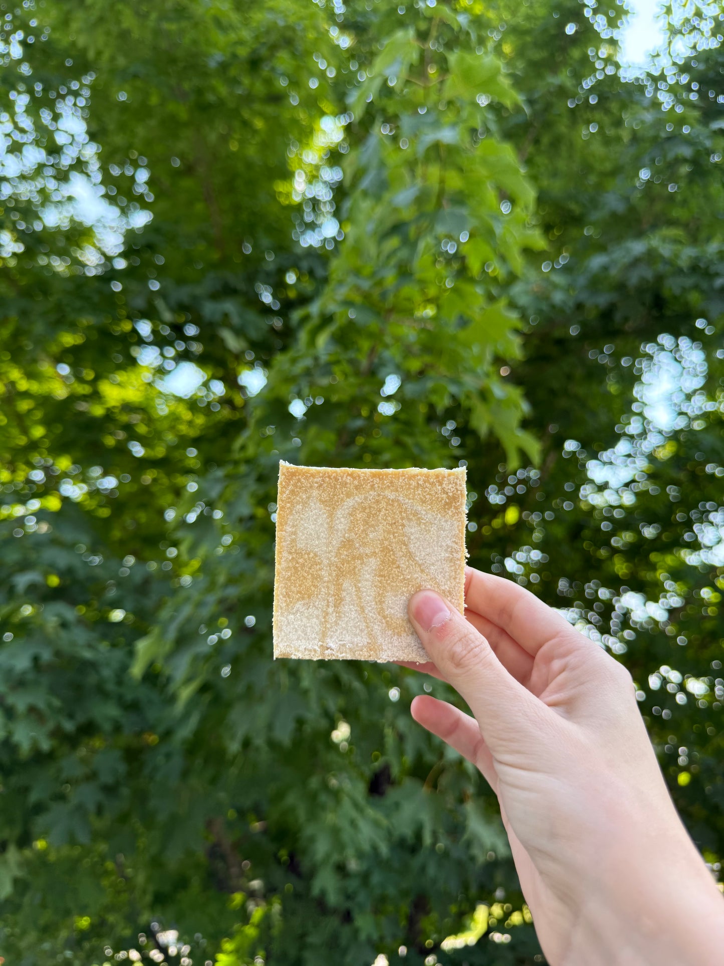 Golden Petals Sea Salt Soap