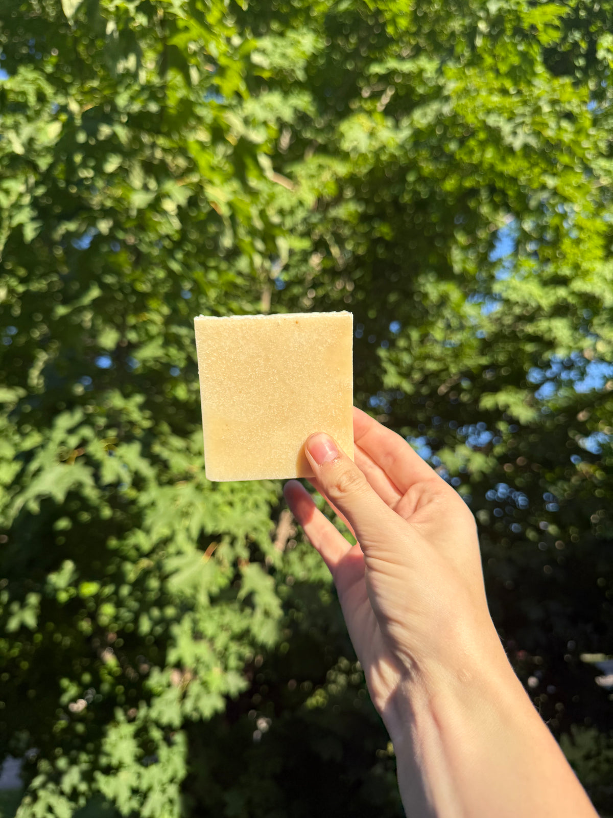 Lemongrass Sea Salt Soap