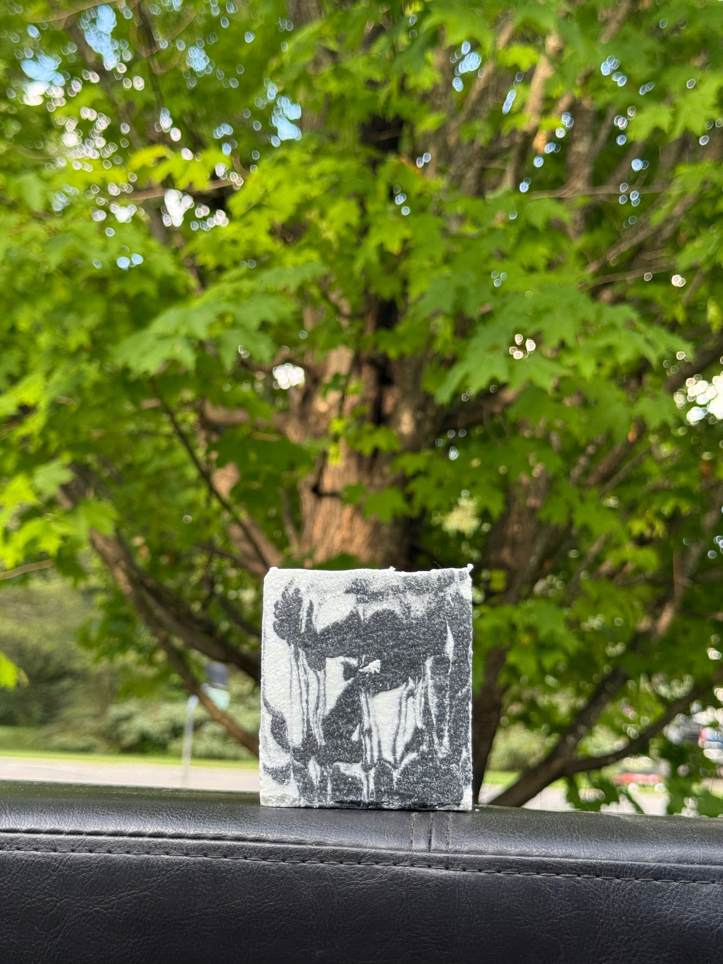 Cedar Wood Sea Salt Soap