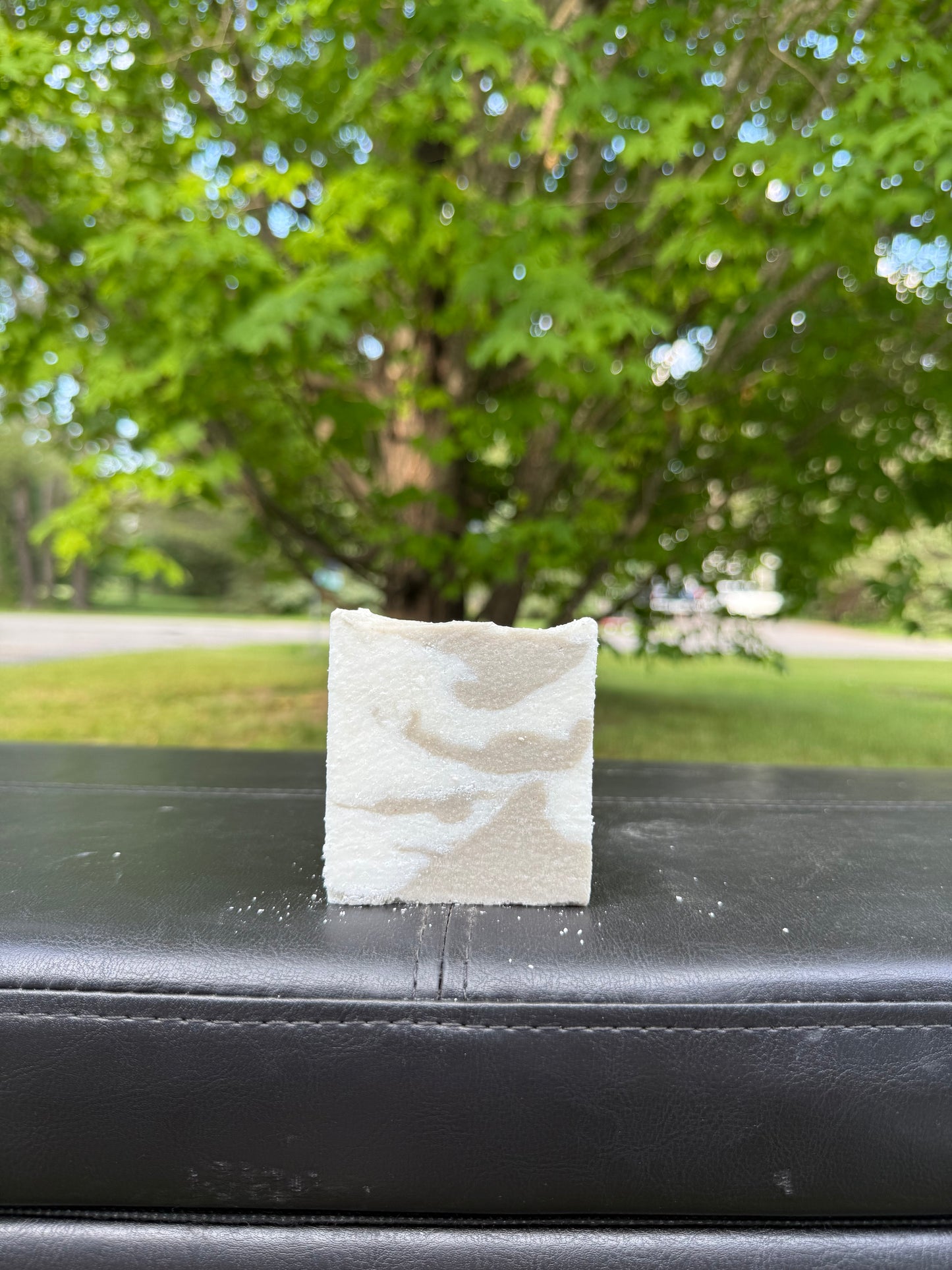 Eucalyptus Sea Salt Soap