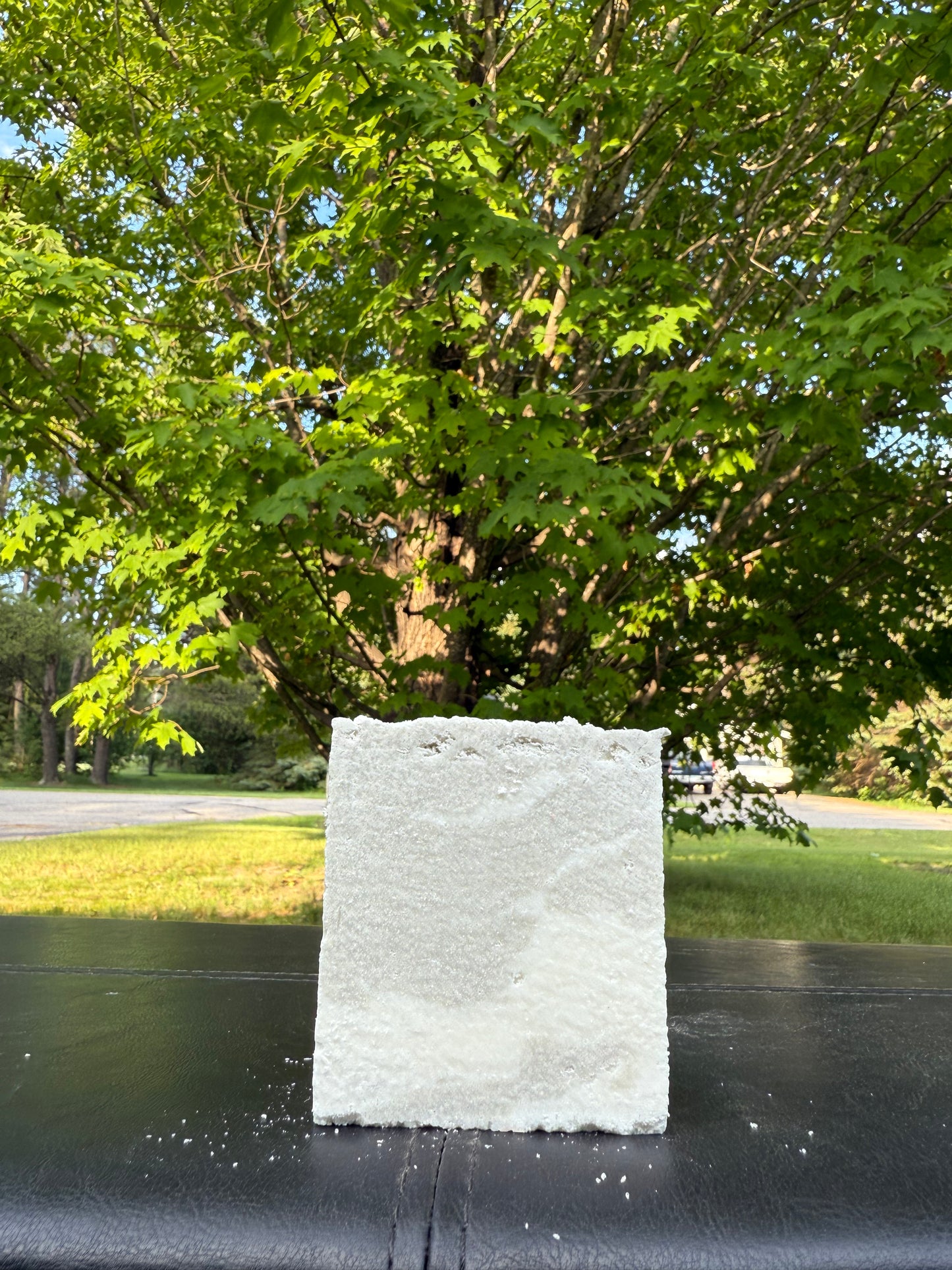 Rosemary Sea Salt Soap