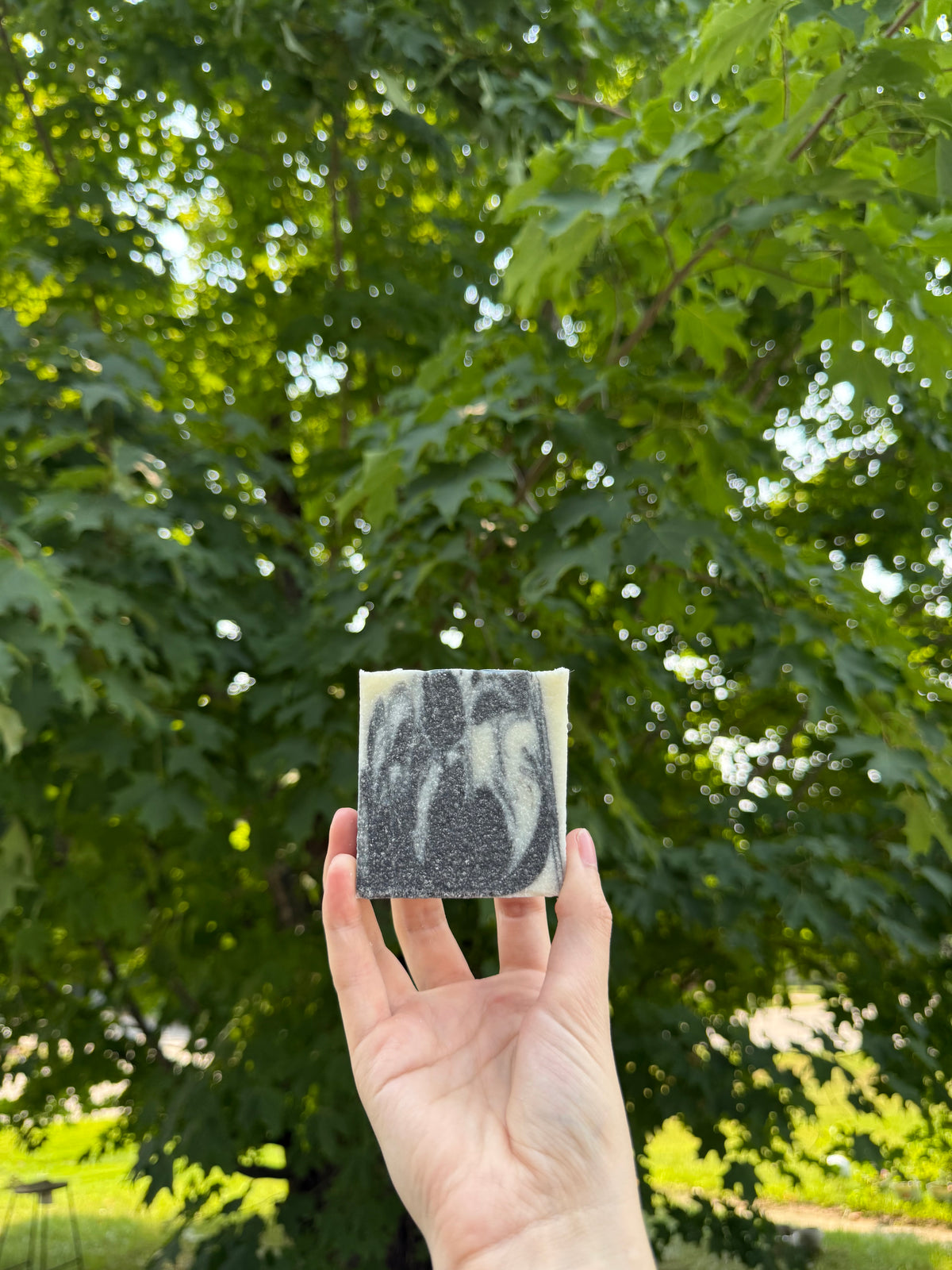 Cedar Wood Sea Salt Soap
