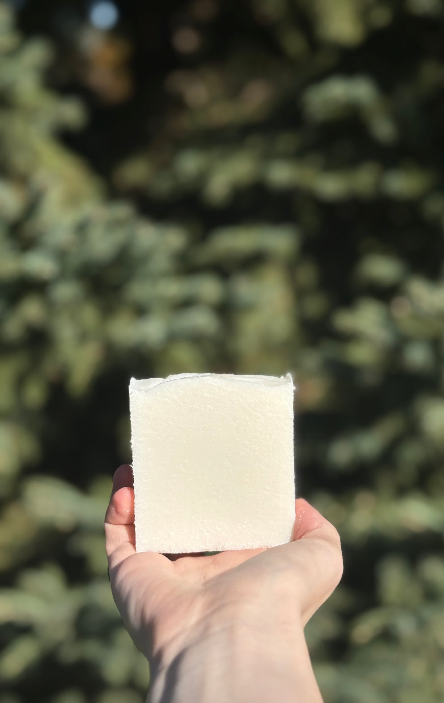 Unscented Sea Salt Soap
