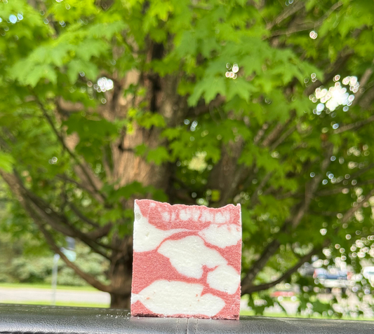 Tea Tree Sea Salt Soap