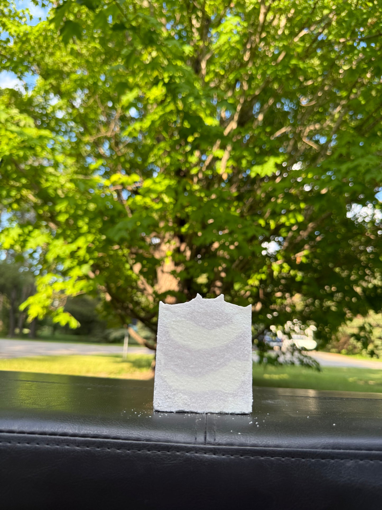 Lavender Sea Salt Soap